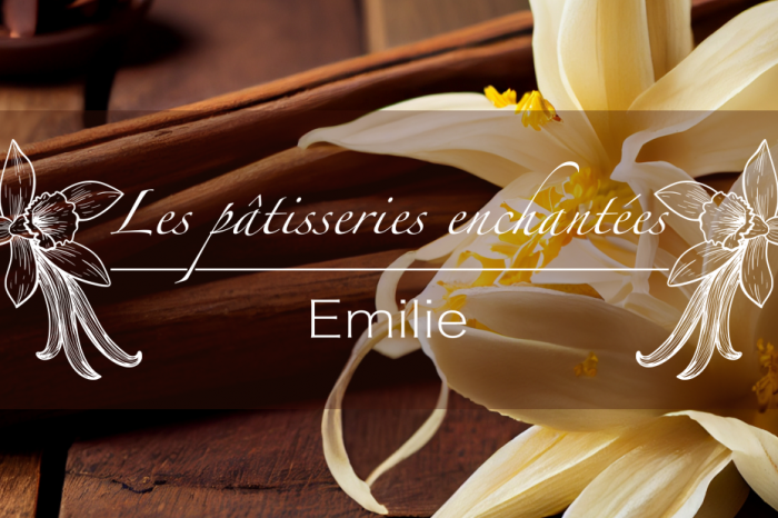 Les pâtisseries enchantées d'Emilie - www.patisseries-enchantees.fr